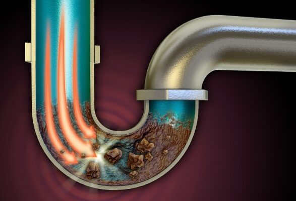 Blocked Drains in Brisbane: Causes and Prevention