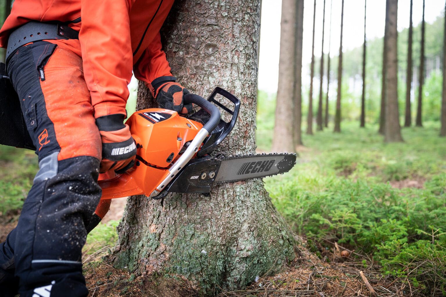 Why Do Chainsaws Cut On An Angle Organize With Sandy   Benefits Of Cutting Angles  1536x1024 