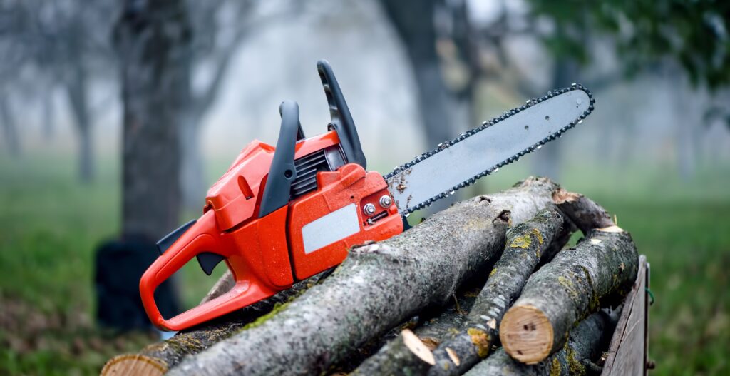 Chainsaw and Its Safety