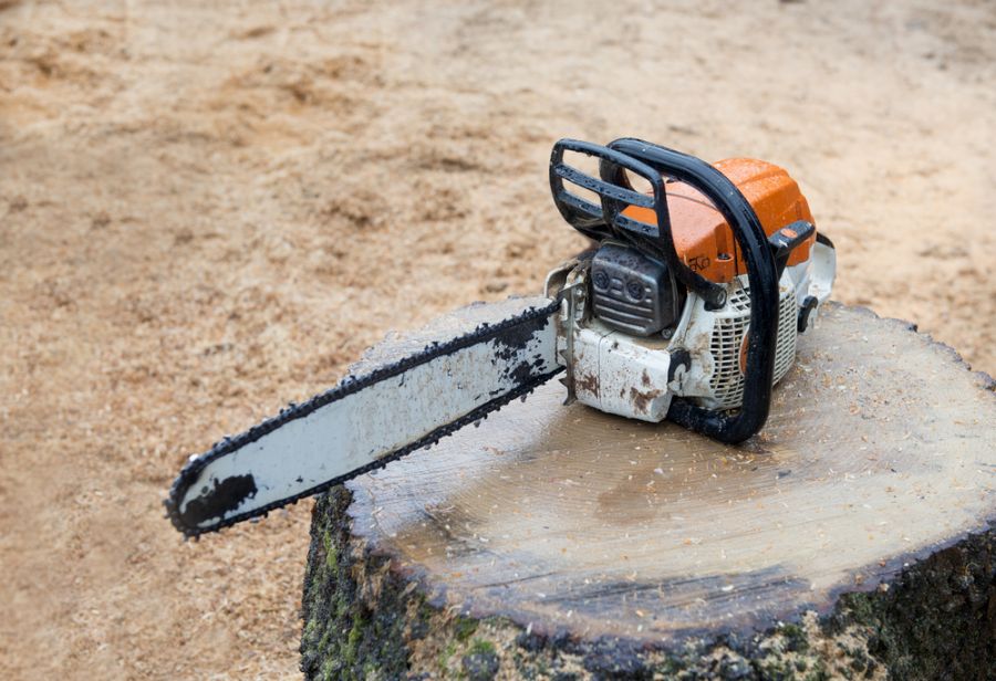 Potential Risks of Chainsaw