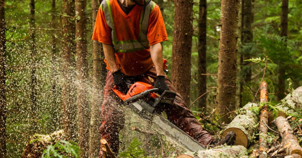Safety Precautions Before Using Chainsaw in Rain