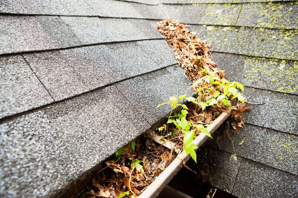 Why Do Gutter Systems Need to Be Protected?