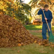 Winter Lawn Care: Preparing Your Yard for the Cold Months
