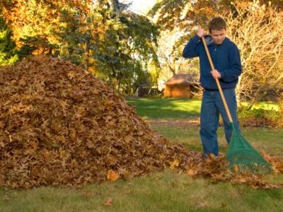 Winter Lawn Care: Preparing Your Yard for the Cold Months