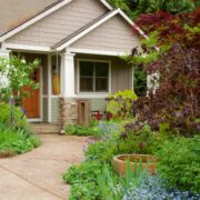 Eco-Friendly Lawn Options: The Benefits of Sustainable Sod Varieties