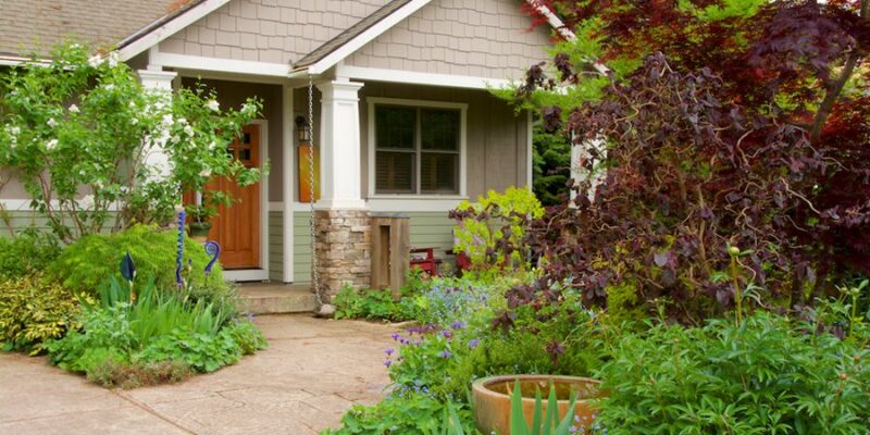 Eco-Friendly Lawn Options: The Benefits of Sustainable Sod Varieties