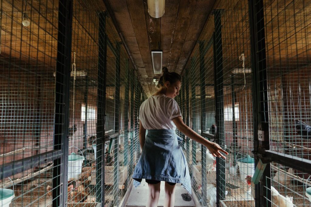A woman walking through a chicken coop