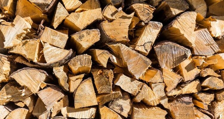 How Do You Stack Firewood So It Doesn't Rot?