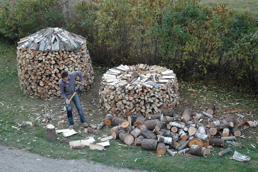 A man stands by a pile of logs
