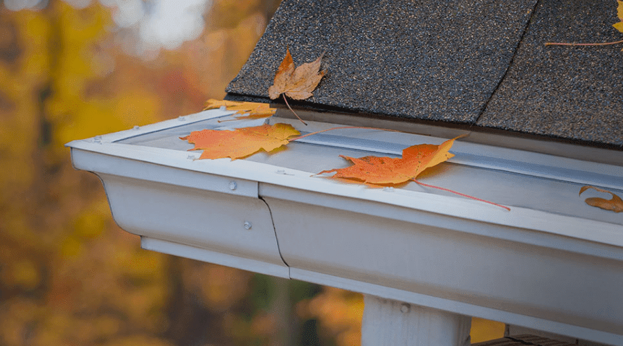 A gutter with leaves and a single leaf on top. Illustrates how LeafFilter works to prevent clogging
