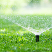 Sprinkler watering green lawn