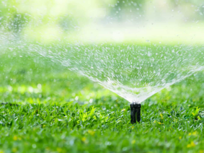 Sprinkler watering green lawn