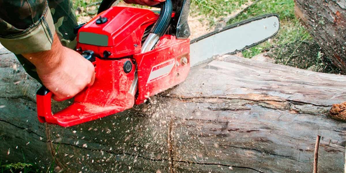 How To Know if Your Chainsaw Chain is Stretched? Organize With Sandy
