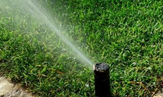 Pop Up Sprinkler watering a grassy area