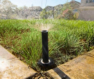 A sprinkler watering a lawn