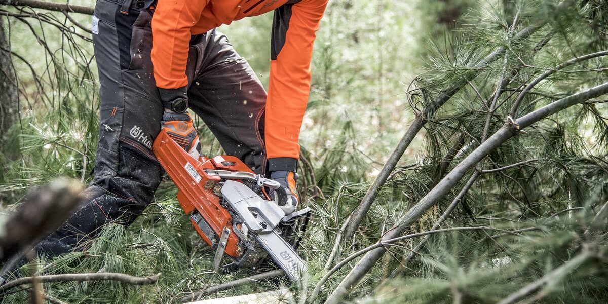 Can a Chainsaw Rust if Wet? Organize With Sandy