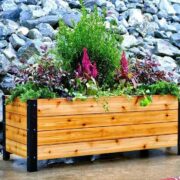 How Much Does It Cost to Build a Planter Box