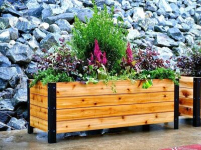 How Much Does It Cost to Build a Planter Box