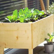 How Wide Should a Planter Box Be