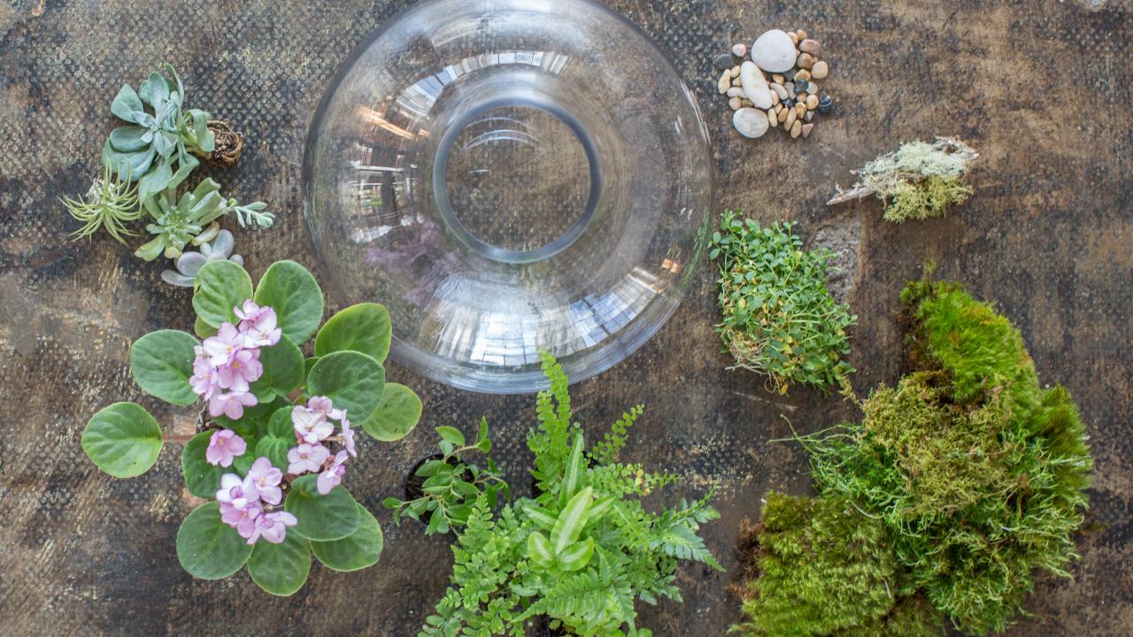 A glass bowl with houseplants and rocks on a table