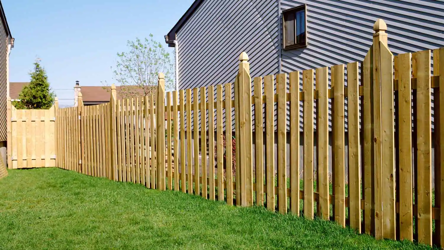 A backyard with a green lawn and a wooden fence. Proper Equipment