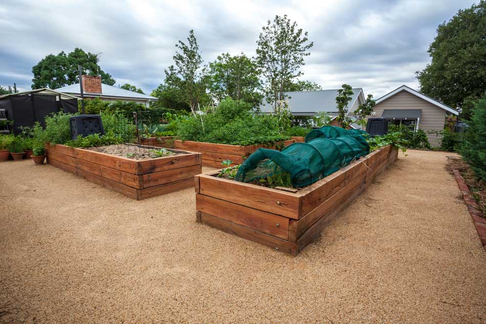 Raised Beds Offer Many Advantages for Gardeners