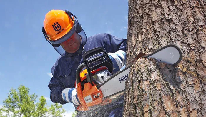 Safety Tips for a Beginner Using Chainsaw