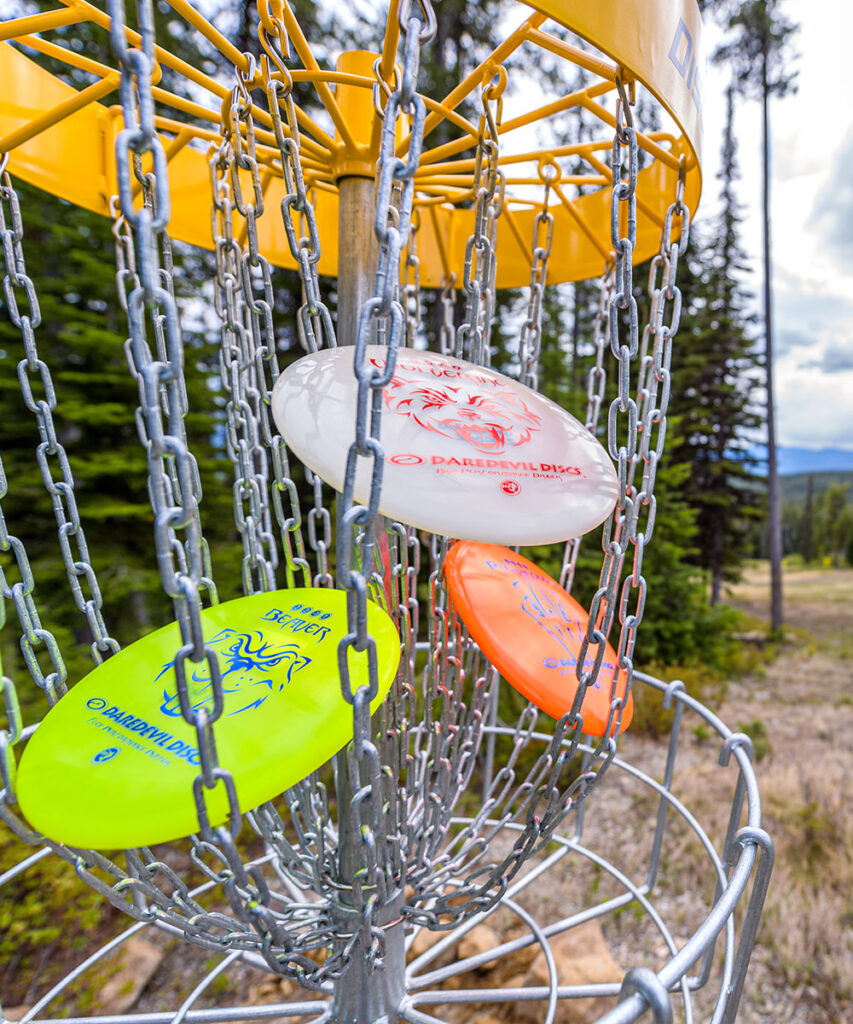 Various Types of Discs in Disc Golf