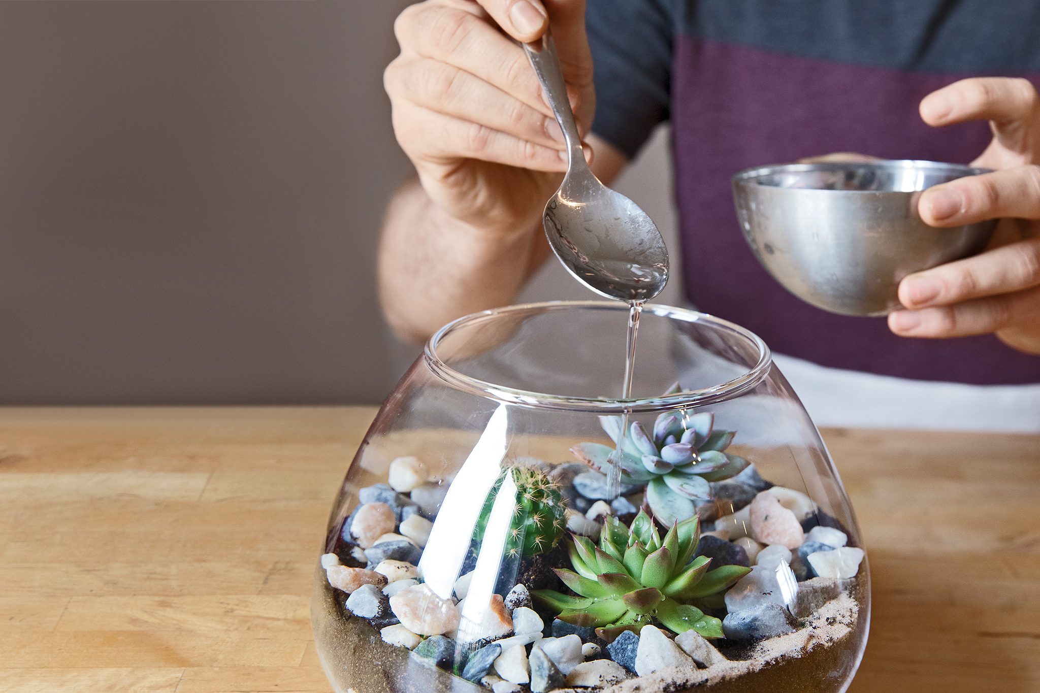 A man carefully watering a glass bowl filled with rocks and plants,