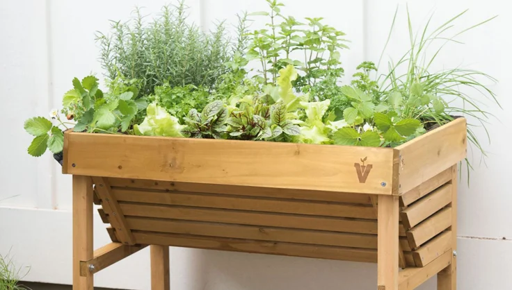 What Size Planter Box for Herbs?