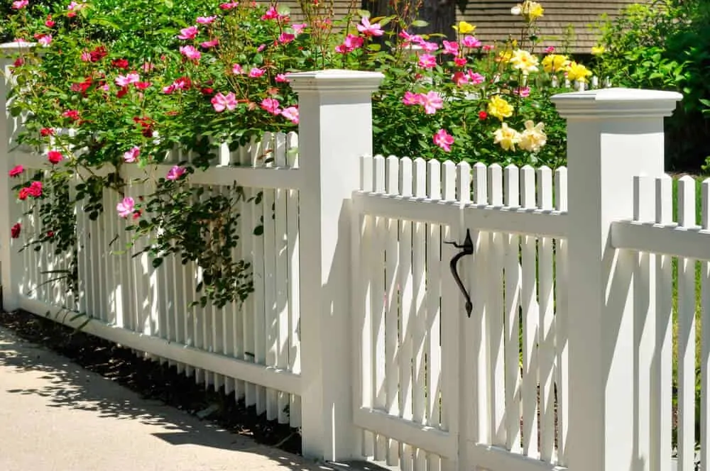 A picturesque white picket fence with vibrant flowers in the foreground, creating a delightful and serene ambiance.