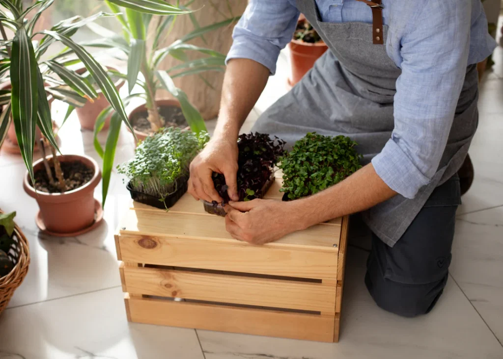 What is the Wood to Use for a Planter Box? .jpg
