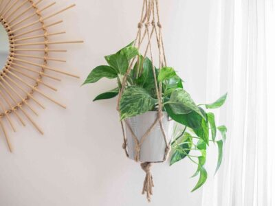 What to Put in Hanging Planters Besides Plants