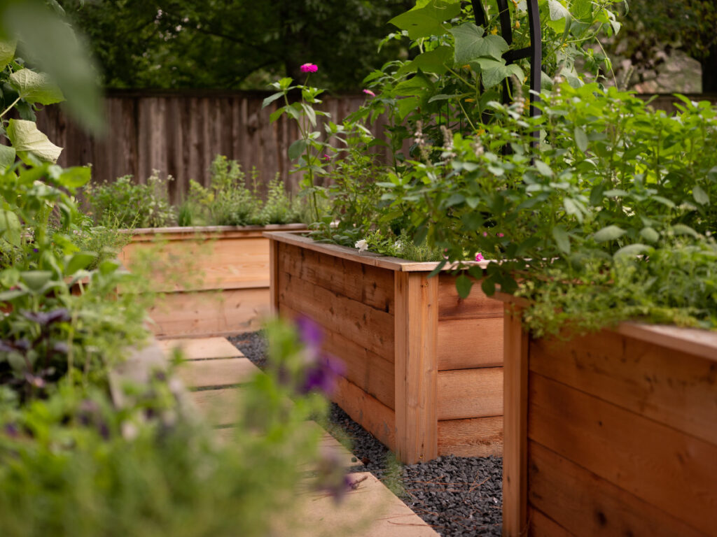 Why Do You Need a Planter Box with The Right Size?