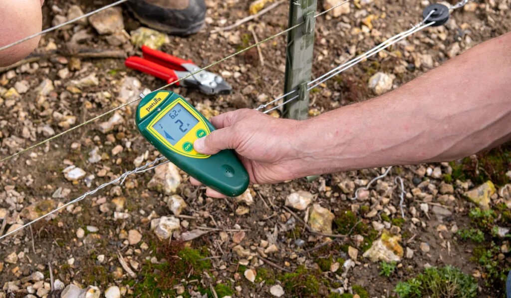 Why is My Electric Fence so Weak Organize With Sandy
