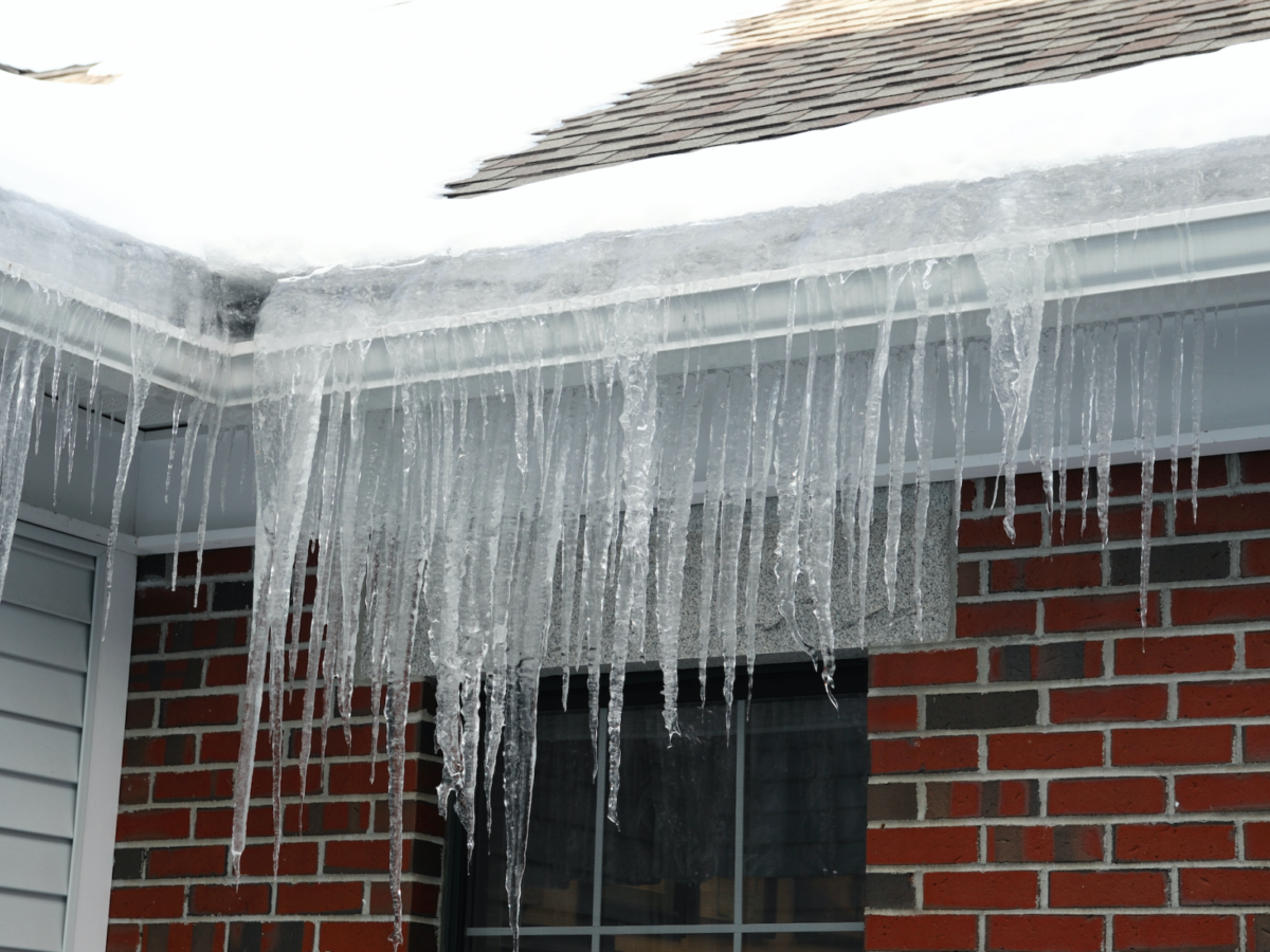 Can Gutter Guards Cause Roof Leaks? Organize With Sandy