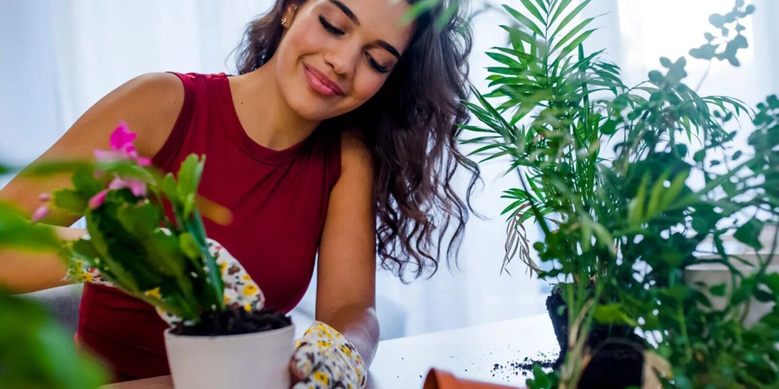 Do Planters Need New Soil Every Year? Organize With Sandy