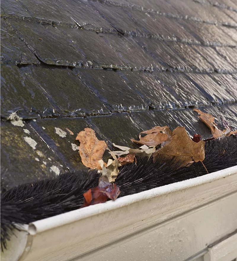 Factors Affecting the Installation Cost of Gutter Guard