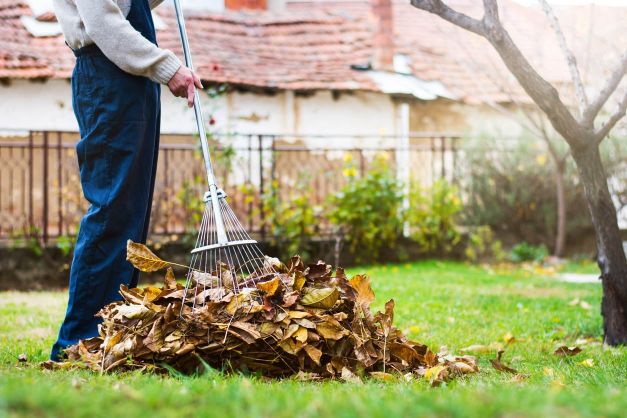 Find the Right Price for Your Leaves Raking Services