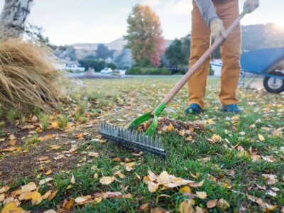 How Much Should I Charge to Rake Leaves