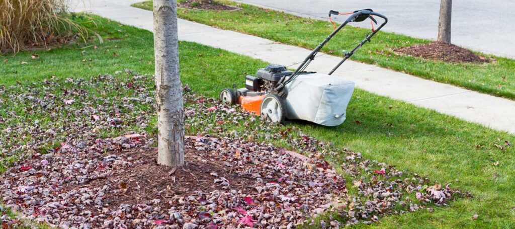 What Can You Do Instead of Raking Your Leaves?