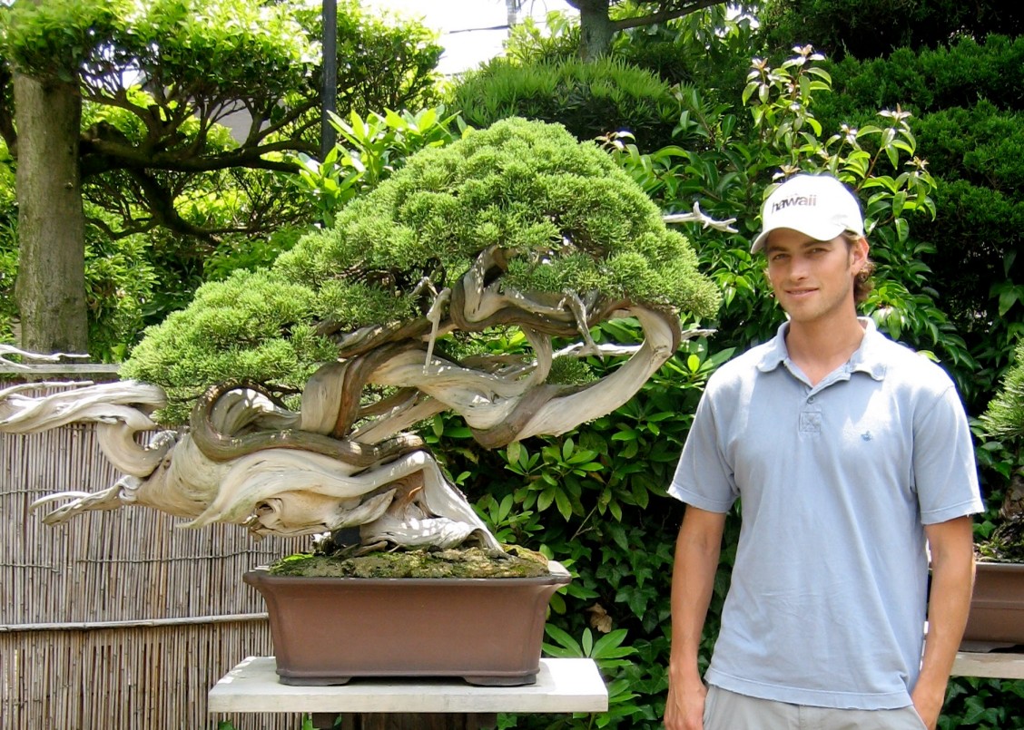 Where to Buy a Bonsai Tree Organize With Sandy
