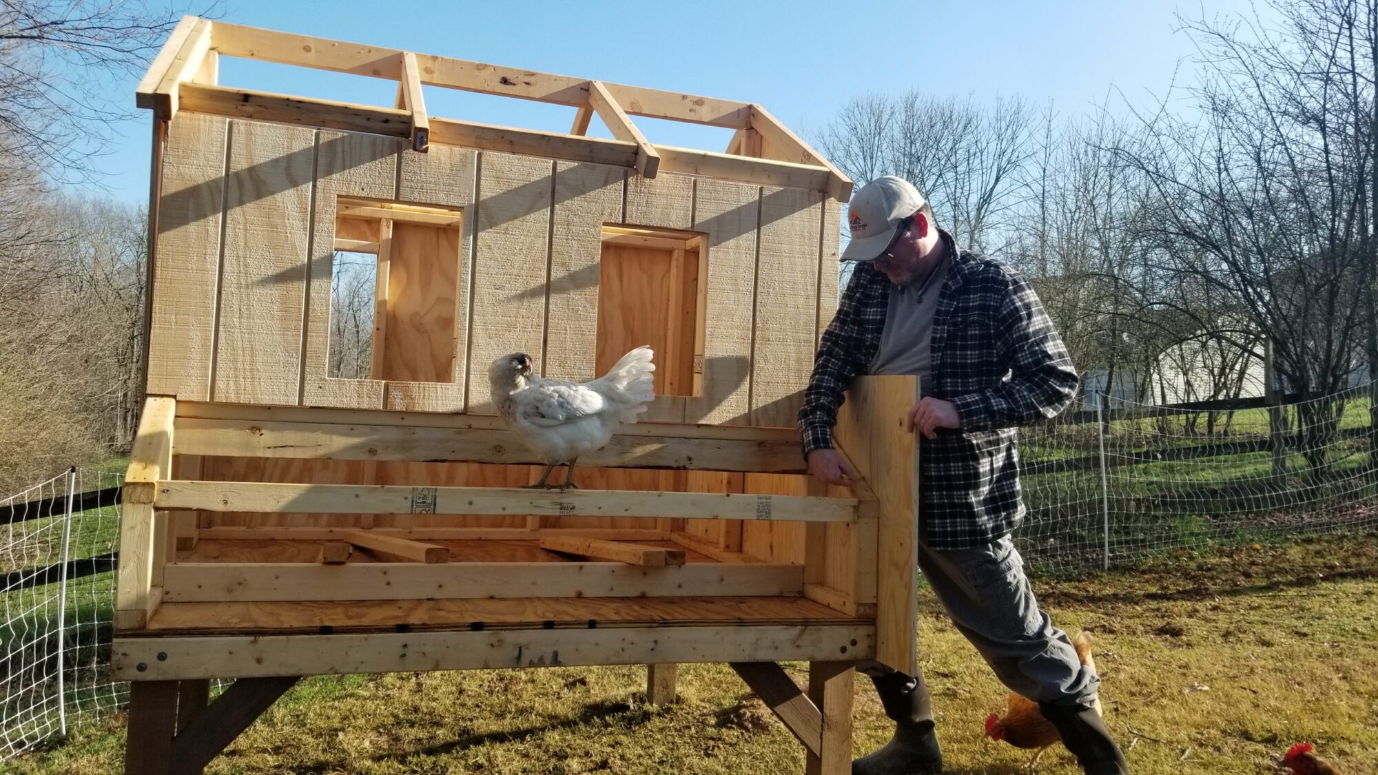 Can A Chicken Coop Be 4 Feet Off The Ground? - Organize With Sandy