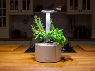 Can AeroGarden plants be potted?
