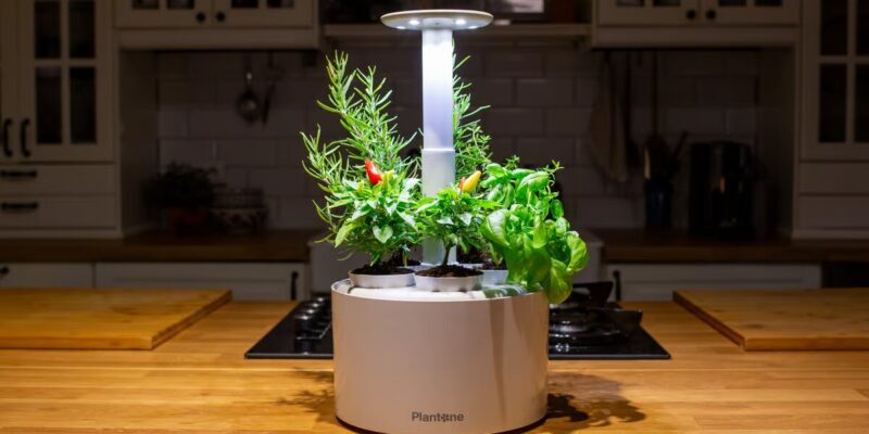 Can AeroGarden plants be potted?