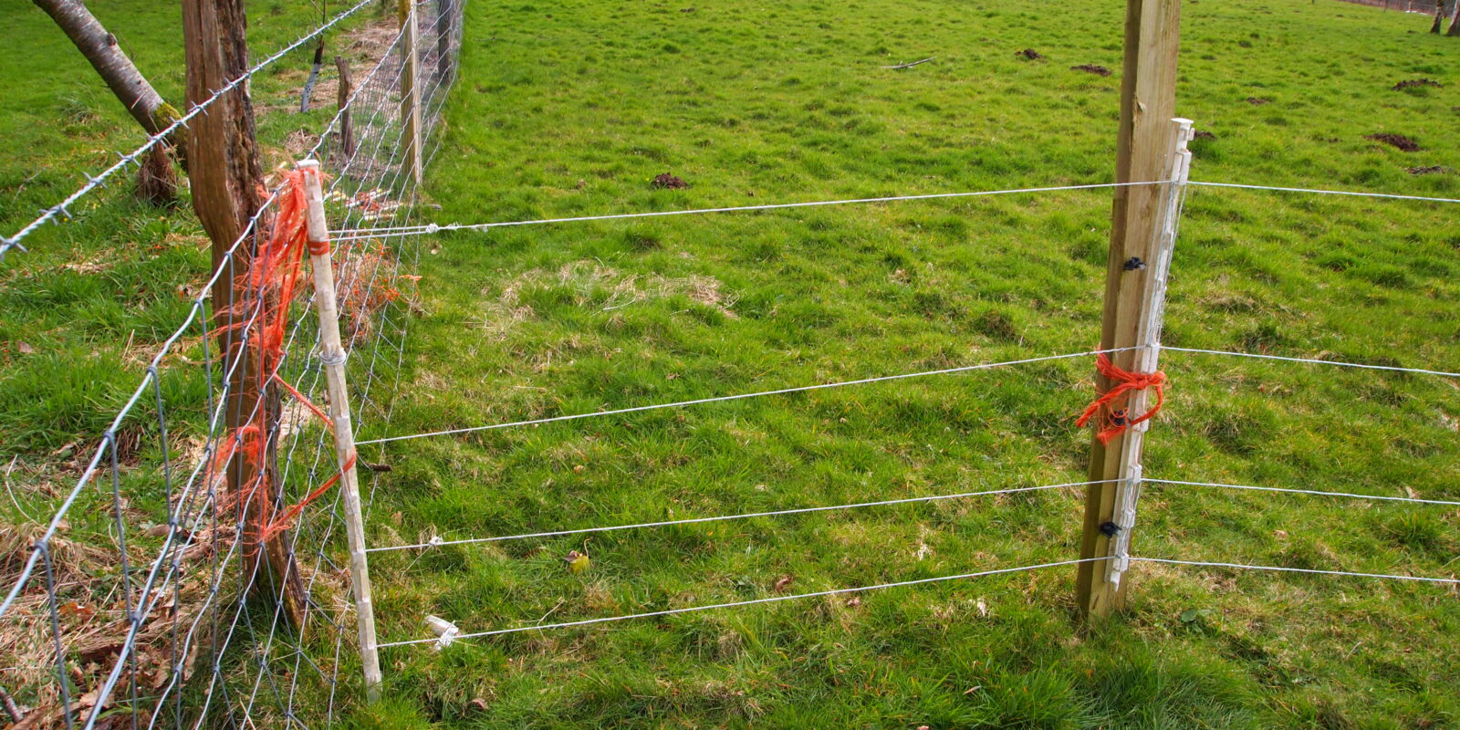 How to Install Electric Fence Organize With Sandy
