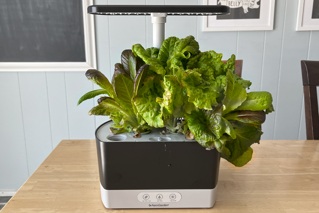 Is Aerogarden Worth It Organize With Sandy