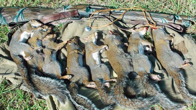 Locating Suitable Areas for Squirrel Hunting