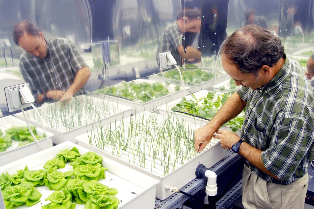 What is Hydroponic Farming