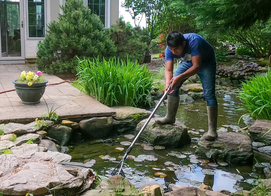 How to Keep Your Outdoor Waterfall Clean